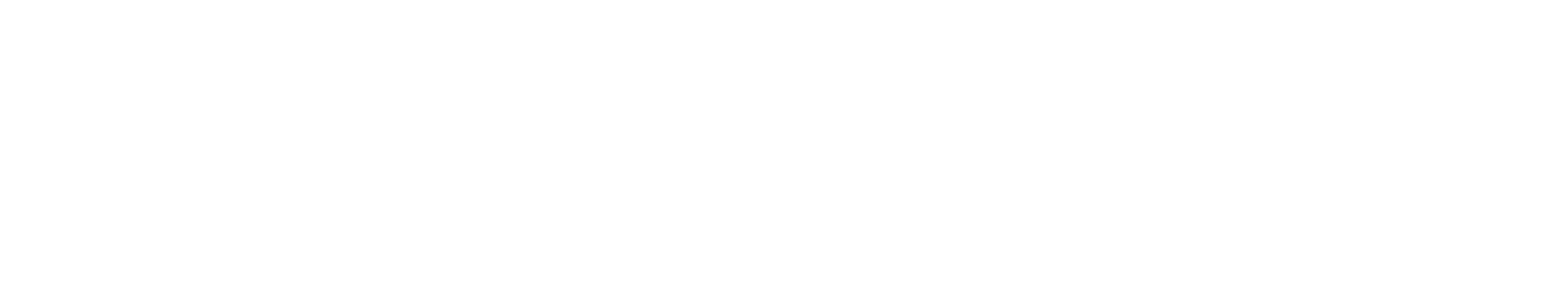 Footer main Logo